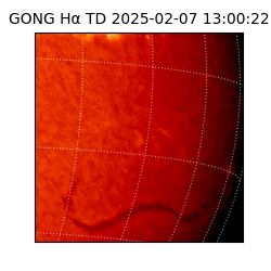 gong - 2025-02-07T13:00:22