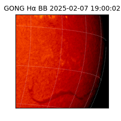 gong - 2025-02-07T19:00:02