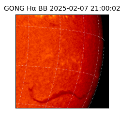 gong - 2025-02-07T21:00:02