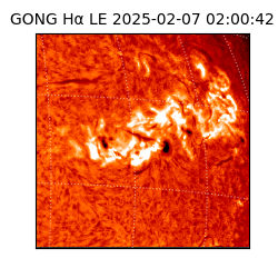 gong - 2025-02-07T02:00:42