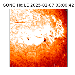 gong - 2025-02-07T03:00:42