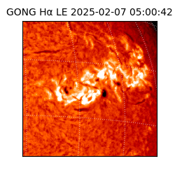gong - 2025-02-07T05:00:42