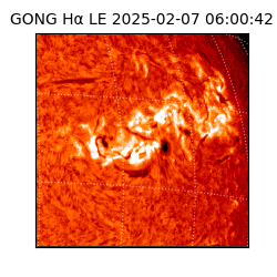 gong - 2025-02-07T06:00:42