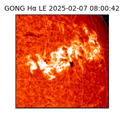 gong - 2025-02-07T08:00:42