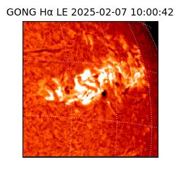 gong - 2025-02-07T10:00:42