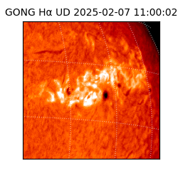 gong - 2025-02-07T11:00:02