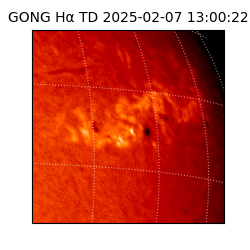 gong - 2025-02-07T13:00:22