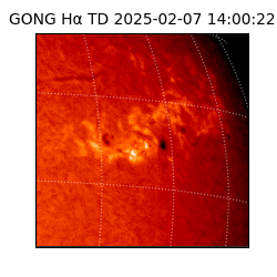 gong - 2025-02-07T14:00:22