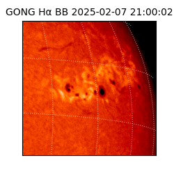 gong - 2025-02-07T21:00:02