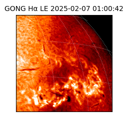 gong - 2025-02-07T01:00:42