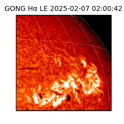 gong - 2025-02-07T02:00:42