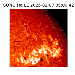 gong - 2025-02-07T05:00:42