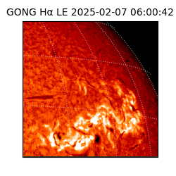 gong - 2025-02-07T06:00:42