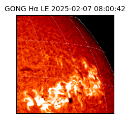 gong - 2025-02-07T08:00:42