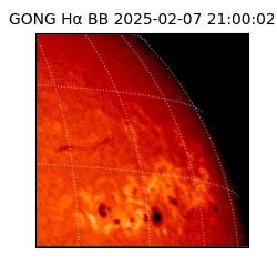 gong - 2025-02-07T21:00:02