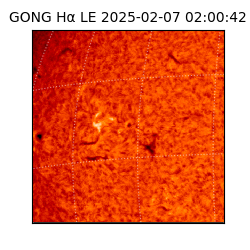 gong - 2025-02-07T02:00:42