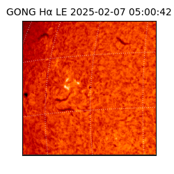 gong - 2025-02-07T05:00:42