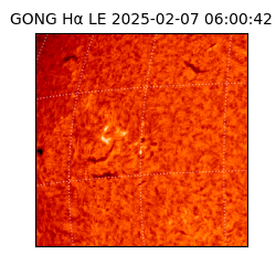 gong - 2025-02-07T06:00:42