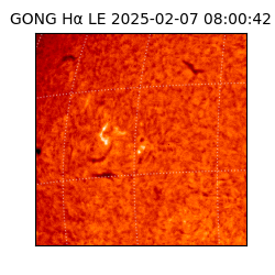 gong - 2025-02-07T08:00:42