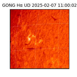gong - 2025-02-07T11:00:02