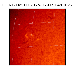 gong - 2025-02-07T14:00:22