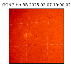 gong - 2025-02-07T19:00:02