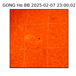gong - 2025-02-07T23:00:02