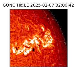 gong - 2025-02-07T02:00:42