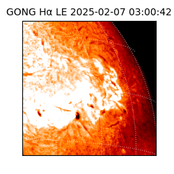 gong - 2025-02-07T03:00:42
