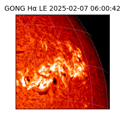 gong - 2025-02-07T06:00:42