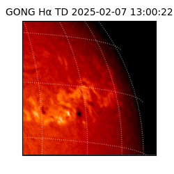 gong - 2025-02-07T13:00:22