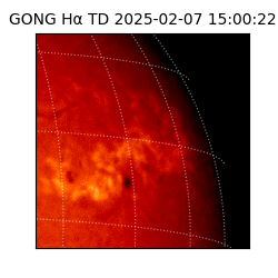 gong - 2025-02-07T15:00:22