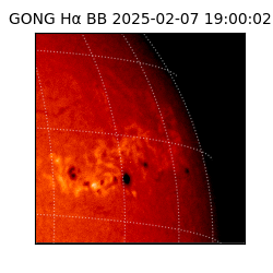 gong - 2025-02-07T19:00:02