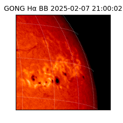 gong - 2025-02-07T21:00:02