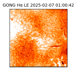 gong - 2025-02-07T01:00:42