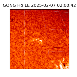 gong - 2025-02-07T02:00:42