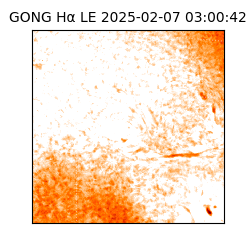 gong - 2025-02-07T03:00:42