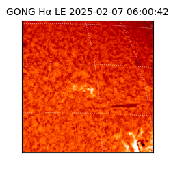 gong - 2025-02-07T06:00:42