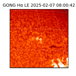 gong - 2025-02-07T08:00:42