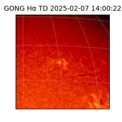 gong - 2025-02-07T14:00:22