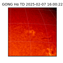 gong - 2025-02-07T16:00:22