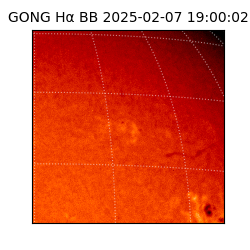 gong - 2025-02-07T19:00:02
