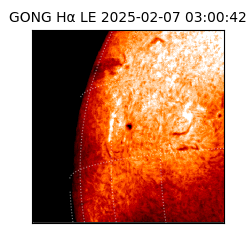 gong - 2025-02-07T03:00:42