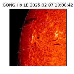 gong - 2025-02-07T10:00:42