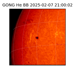 gong - 2025-02-07T21:00:02