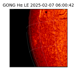 gong - 2025-02-07T06:00:42