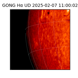 gong - 2025-02-07T11:00:02