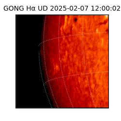 gong - 2025-02-07T12:00:02