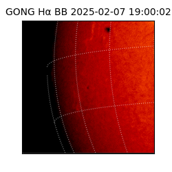 gong - 2025-02-07T19:00:02