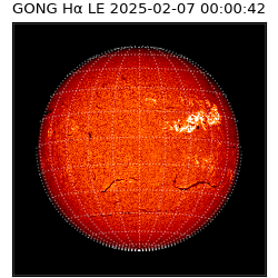gong - 2025-02-07T00:00:42